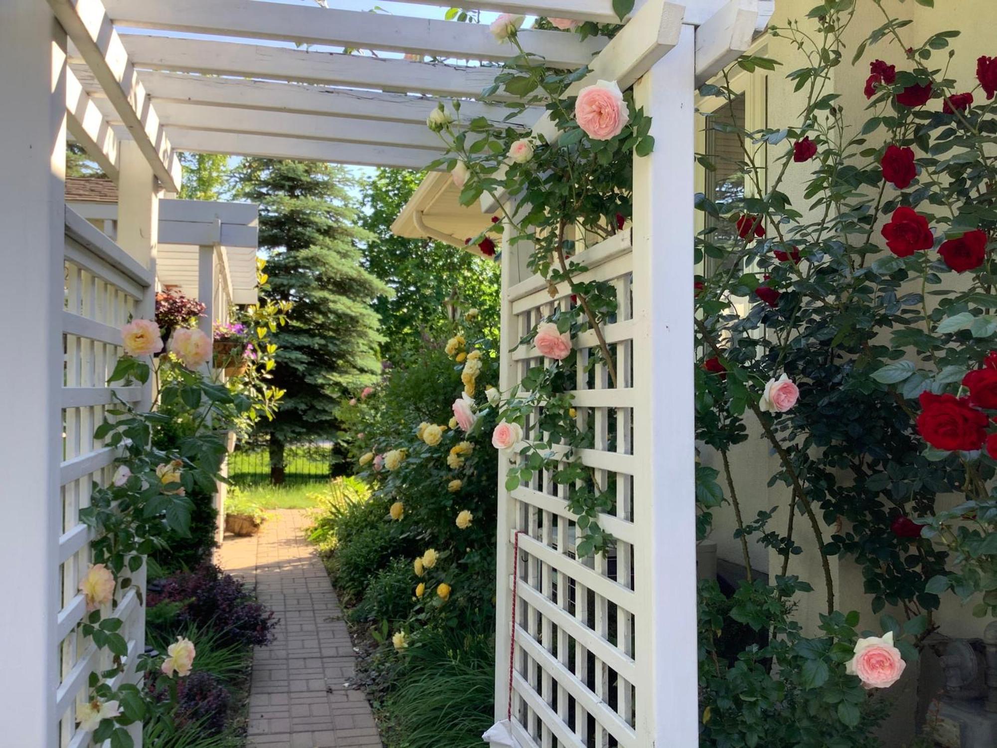 Bed and Breakfast Via Veneto - Old Town Niagara-on-the-Lake Zewnętrze zdjęcie