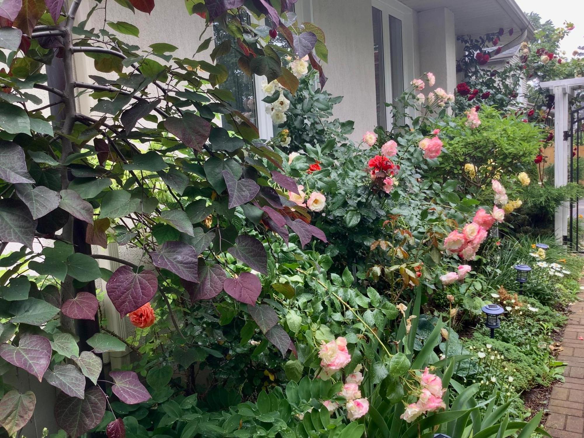 Bed and Breakfast Via Veneto - Old Town Niagara-on-the-Lake Zewnętrze zdjęcie